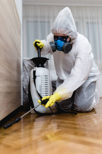 Best Residential Pest Control  in Llington, MI